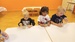 20260918_094357.jpg