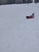 IMG_20250115_105303.jpg