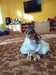 IMG_20250228_092450.jpg