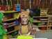 IMG-20250228-WA0017.jpg