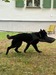 IMG_8684.jpeg