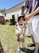 IMG_9058.jpeg