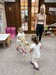 IMG_9239.jpeg